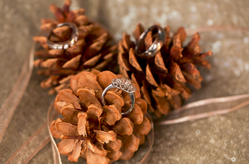pinecone_rings.png
