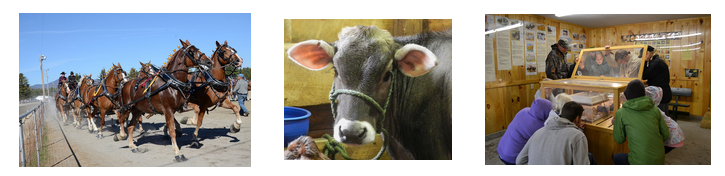 Fryeburg Fair Maine barn Wedding Destination Fall Foliage