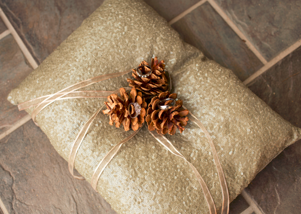 Rustic Ring Pillow