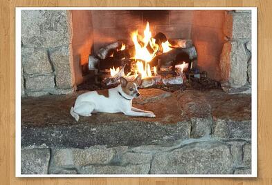 Midge fireplace Granite Ridge Estate Barn