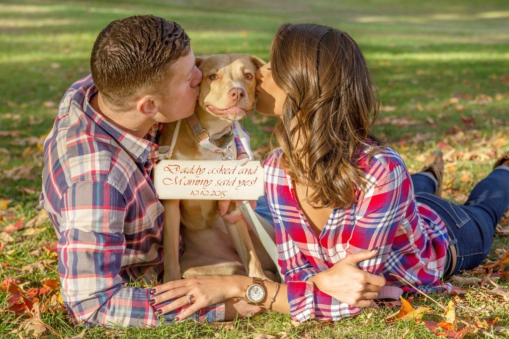 couple feature, love story, engagement, new england wedding, maine wedding, boston, rustic, barn wedding